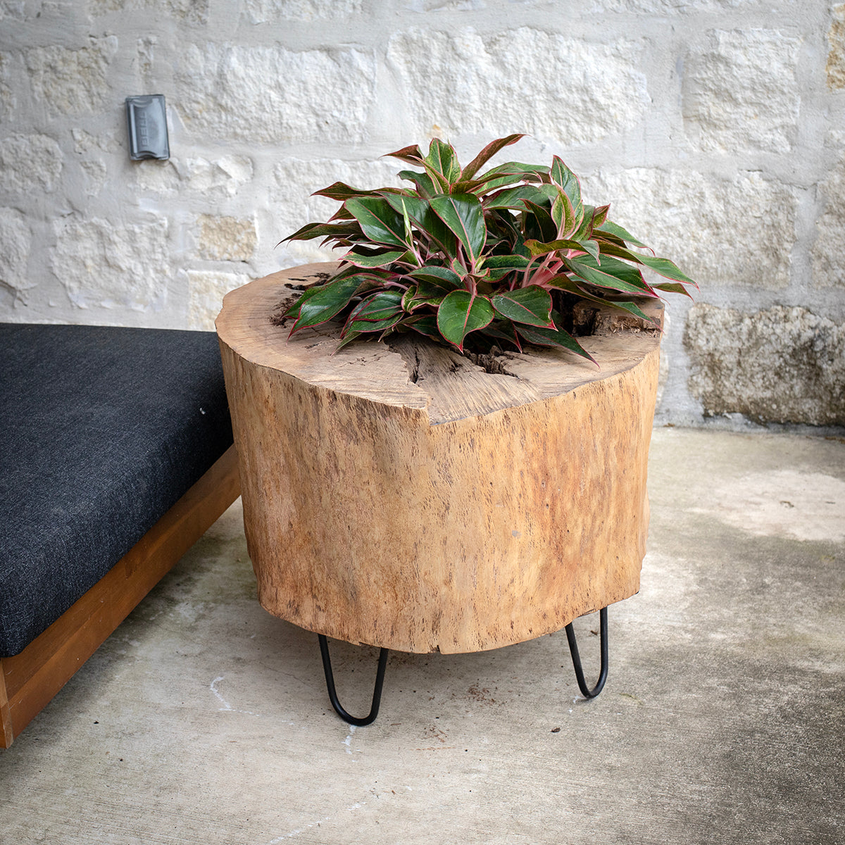 log plant pots Oak Log Planter